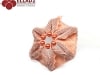 Kralen Tutorial Coral Flower Hanger Ellad2