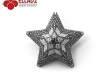 Beaded-Star-peyote-stitch-by-Ellad2