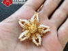 Kralen-Tutorial-Star-Rose-OOrbellen