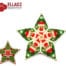 Kralen Patroon Rudolph the red nosed star ornament voon Ellad2