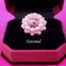 Pink-Rivoli-Crystal-Ring-by-Ellad2